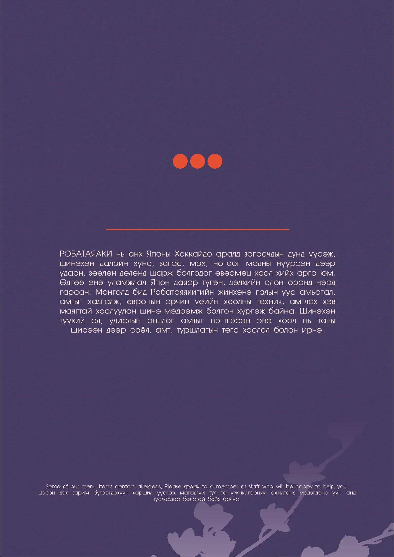 Noka menu - page 2